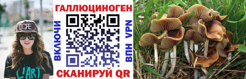 Псилоцибиновые грибы Magic Shrooms  Менделеевск 